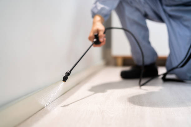 Licensed Pest Control service in Dexter, MI - Show Me Pest Control