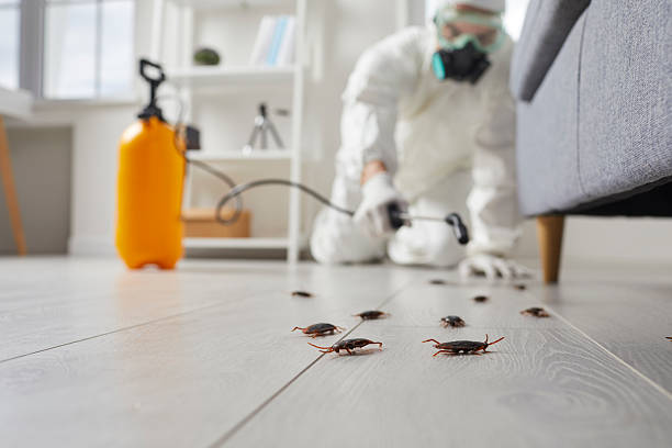 Commercial Kitchen Cockroach Control in Dexter